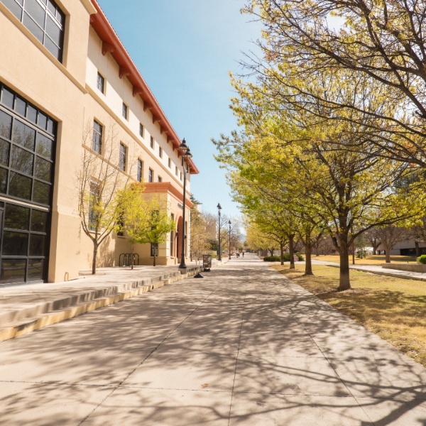 Sunlit paved walkway beside a tan multi-story building, lined with leafy trees casting shadows on the pavement.